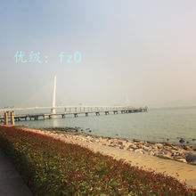 ƻ