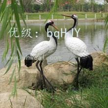 ʨ