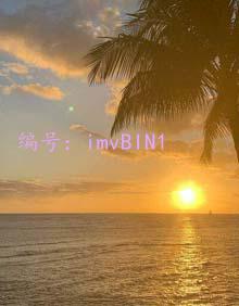 ָ